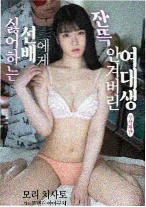 苍狼电视剧全集免费播放 最新集